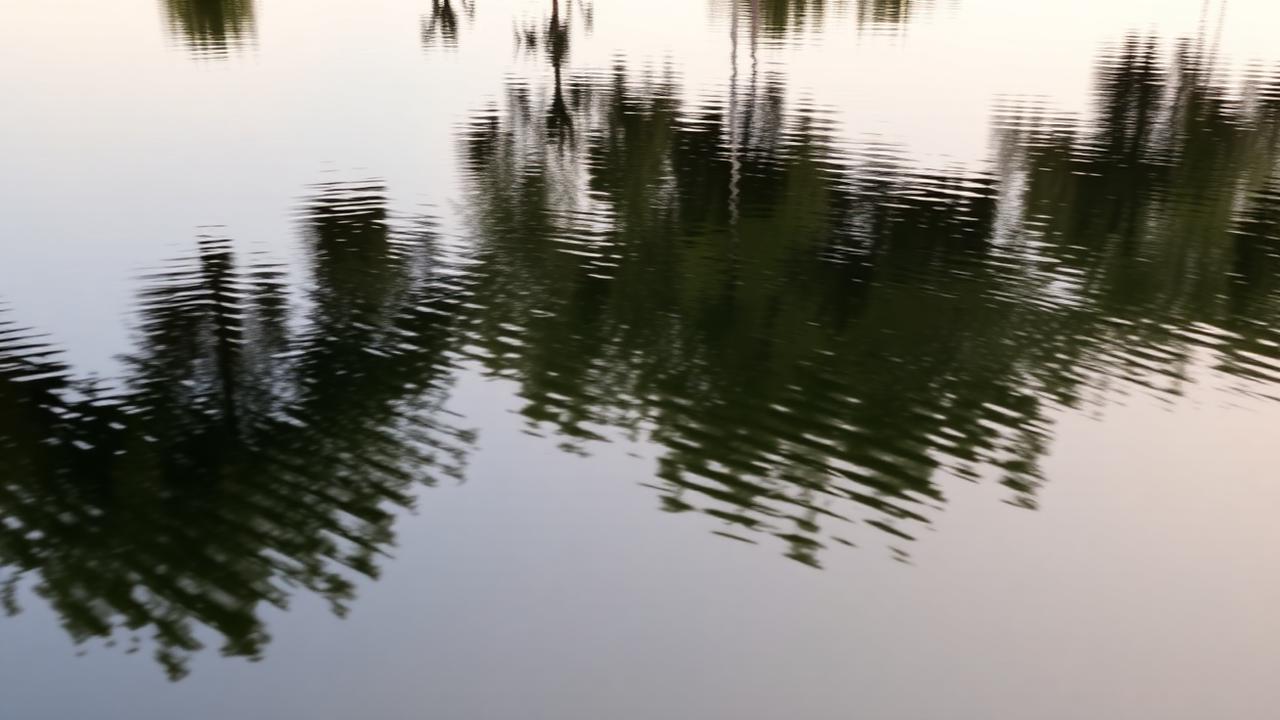 Water & Reflections